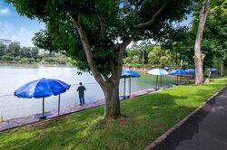 Blk 555 Pasir Ris Street 51 (Pasir Ris), HDB 5 Rooms #578783361